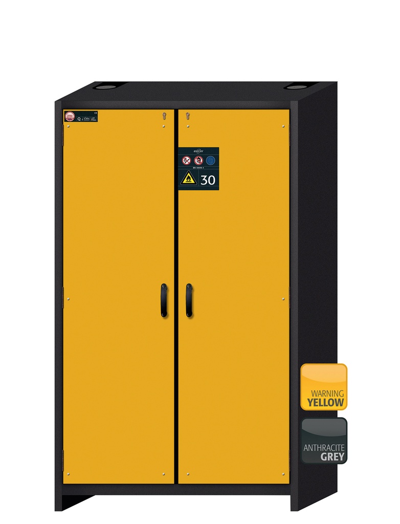 [210 -125225-SA-clinical] Safety storage cabinet Q-CLASSIC-30 model 