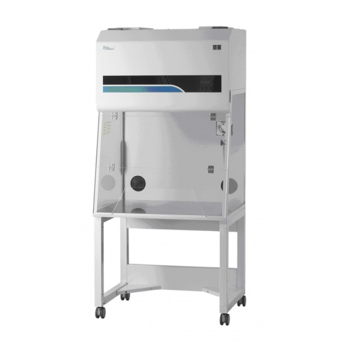 [464 -125225-SA-clinical] DLH-01G