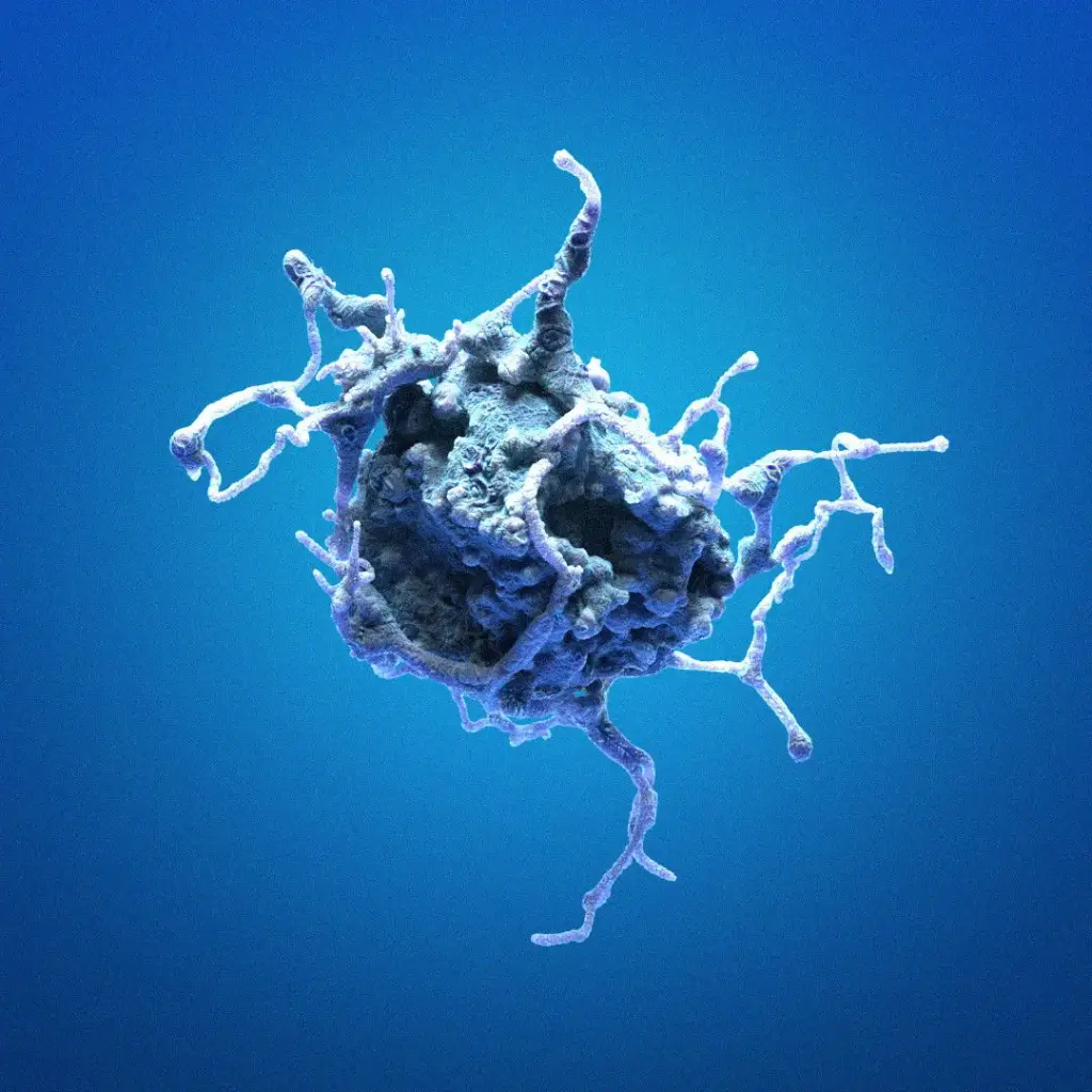[GEN300662-MA] HK-CRISPR-Tpr-mEGFP Cells