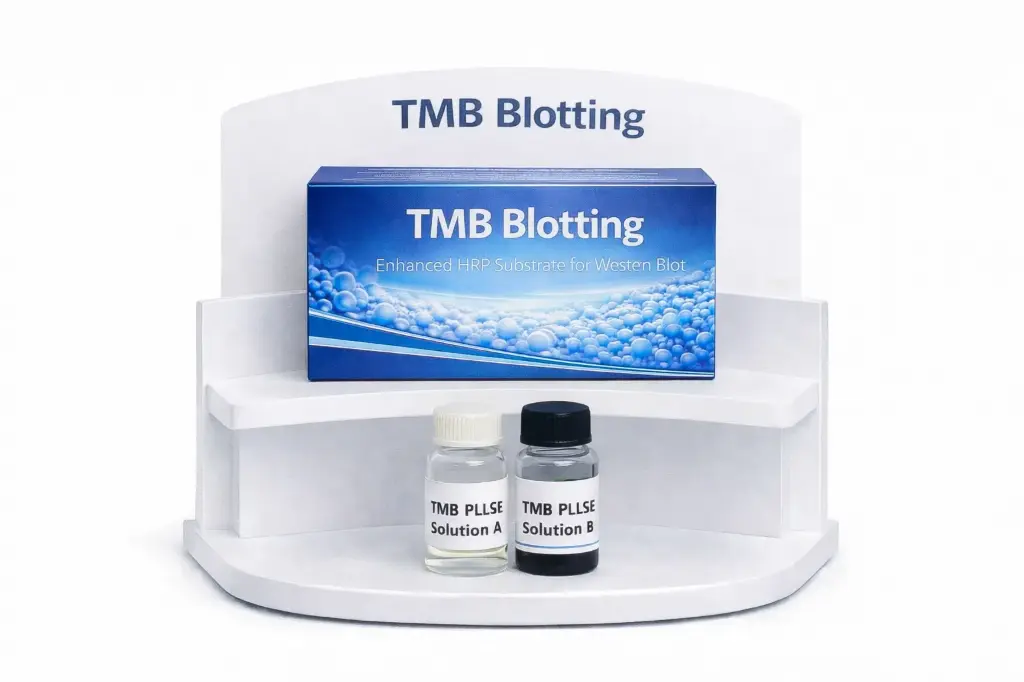[4450H] TMB Blotting