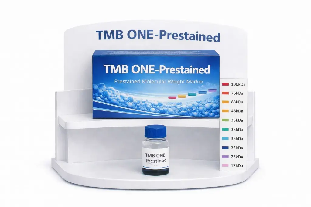 [4430A] TMB ONE-Prestained