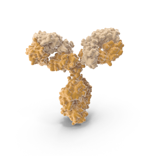 [0708-HPAB-AP094-YC] Mouse Antisize:GPR87 Recombinant Antibody size: SDSsize:PAGE>95%, RegµLar batch  without endotoxin removal 